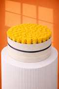 Sun Shine