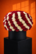 Petal Beauty