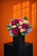 Bloom Theory